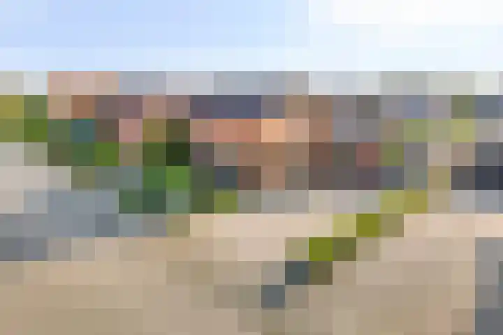 Postweg 12 Heerde thumbnail 33