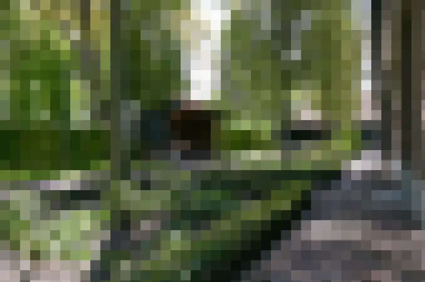 Postweg 133 Lunteren thumbnail 64