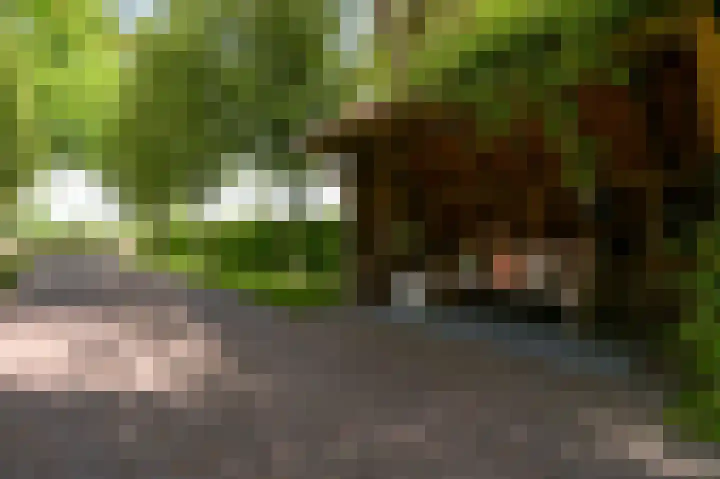 Postweg 133 Lunteren thumbnail 65