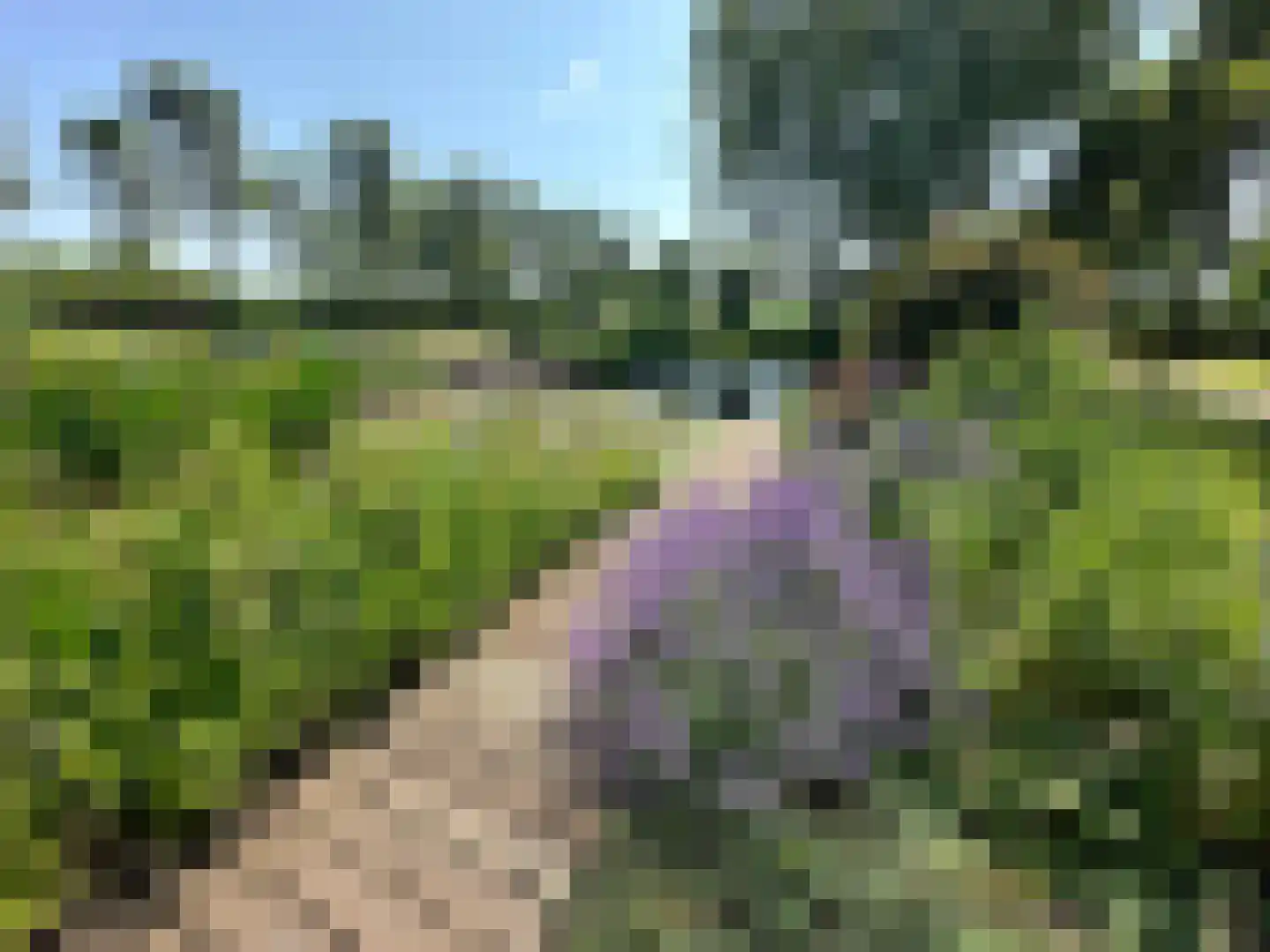Postweg 133 Lunteren thumbnail 77