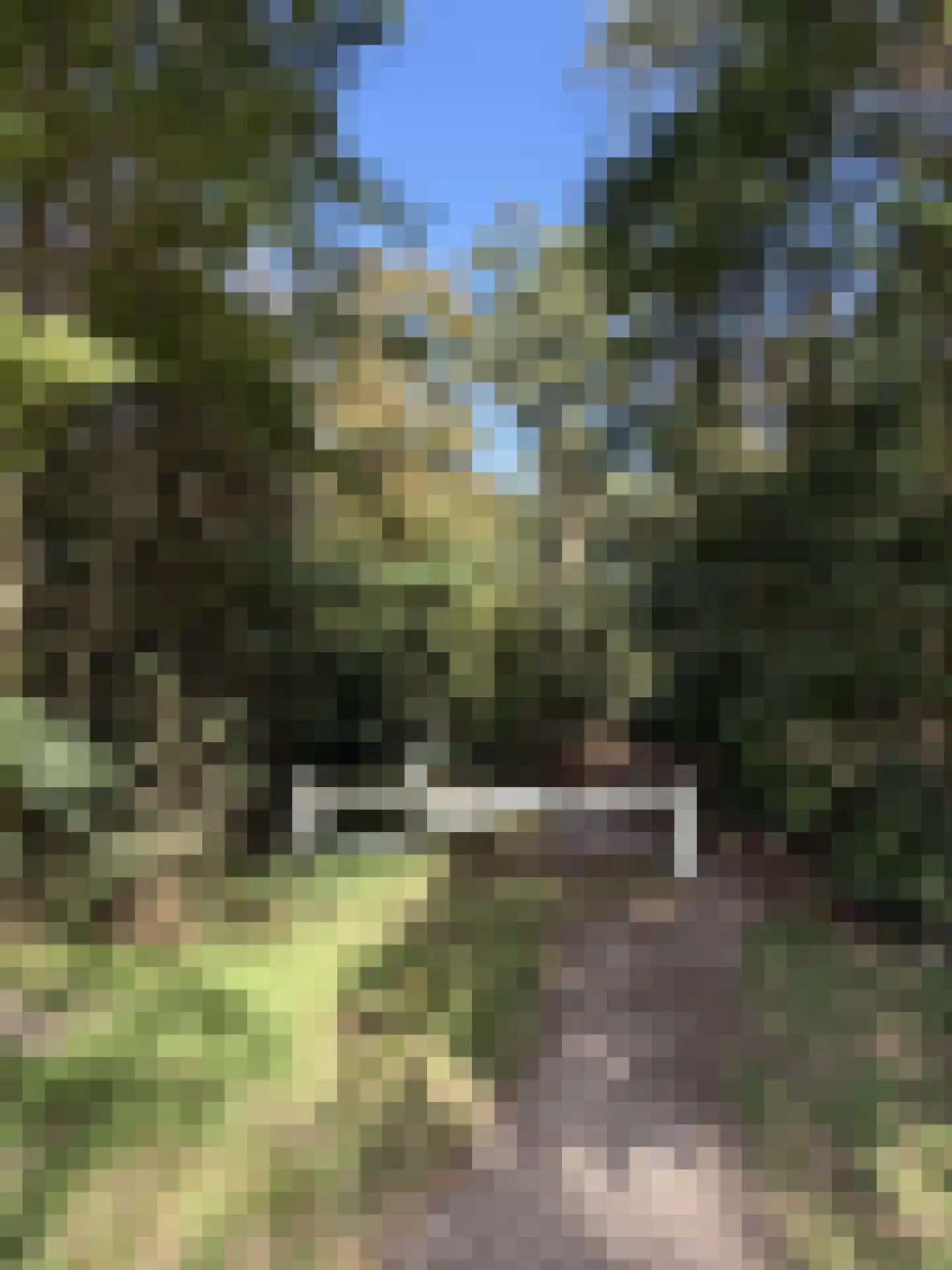 Postweg 133 Lunteren thumbnail 81