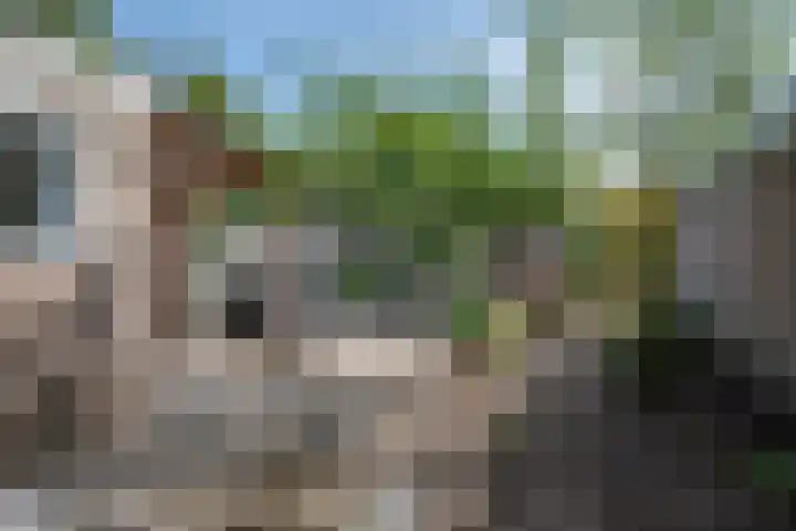 Postweg 16 de Wijk thumbnail 22
