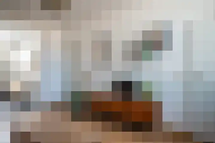 Postweg 16 de Wijk thumbnail 4