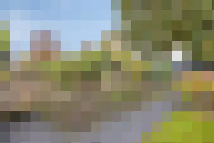 Postweg 17 Lunteren thumbnail 32