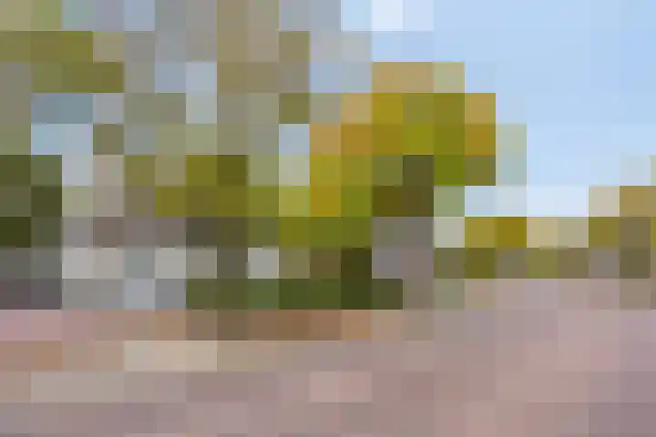 Postweg 17 Lunteren thumbnail 4