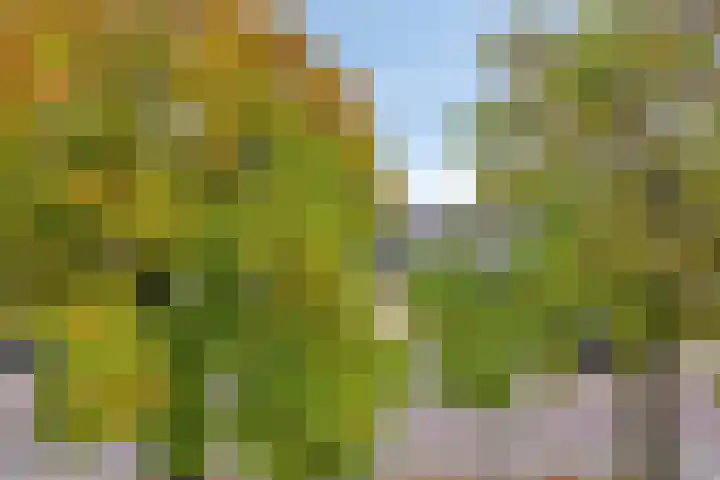 Postweg 17 Lunteren thumbnail 46