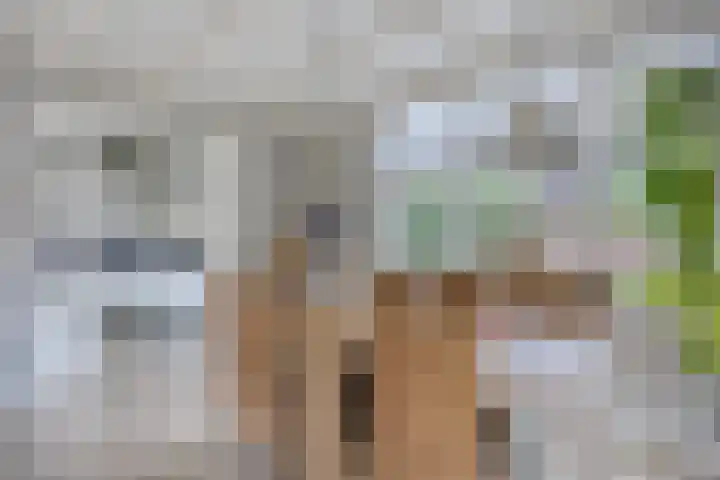 Postweg 17 Lunteren thumbnail 8