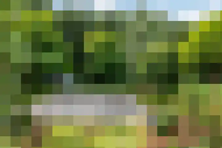Postweg 19 Oldenzaal thumbnail 22