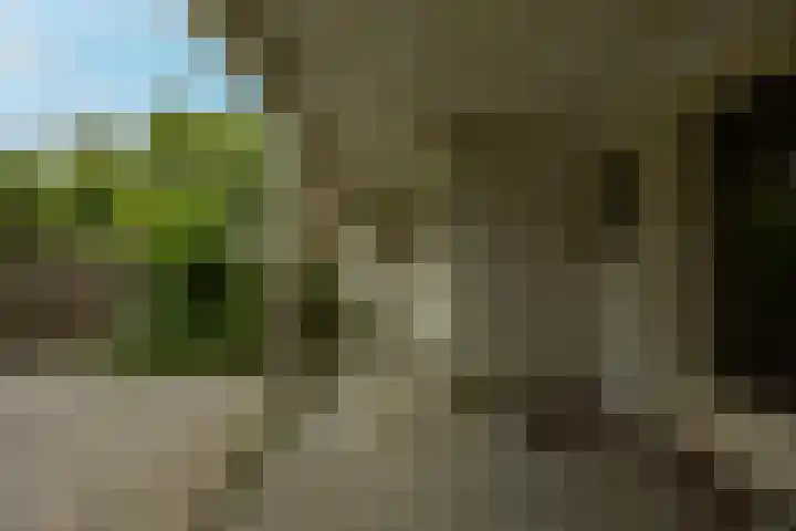 Postweg 201 Nijmegen thumbnail 20
