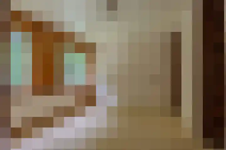 Postweg 201 Nijmegen thumbnail 31
