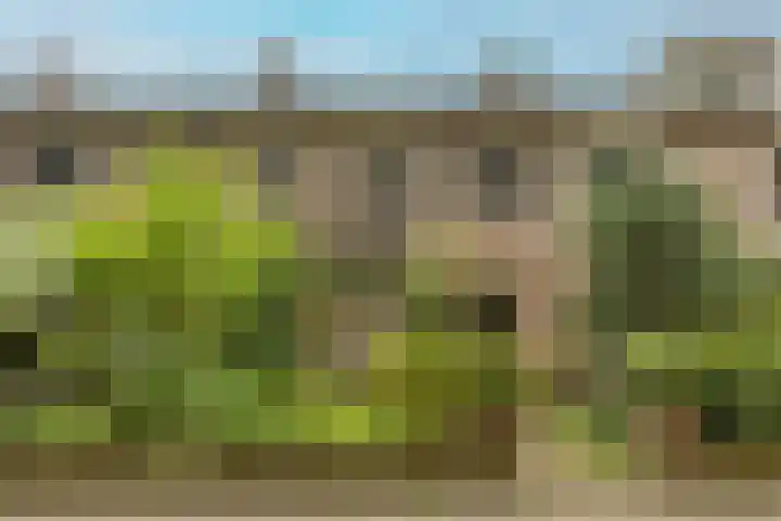 Postweg 201 Nijmegen thumbnail 39