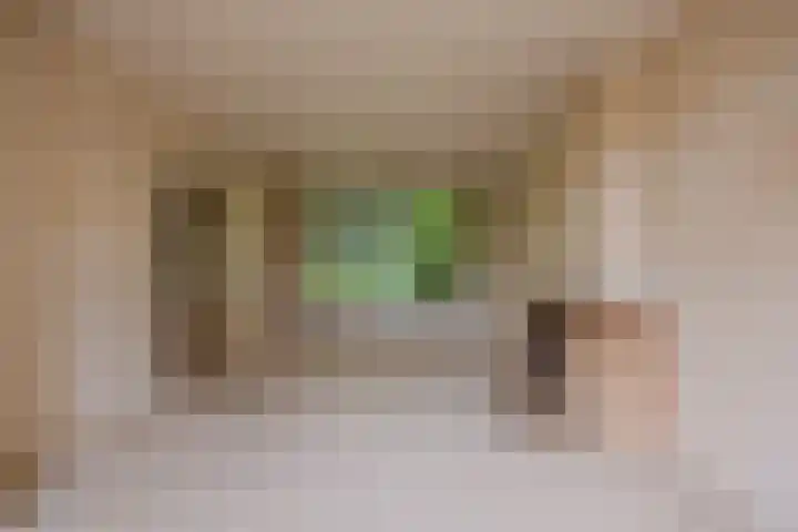 Postweg 201 Nijmegen thumbnail 6