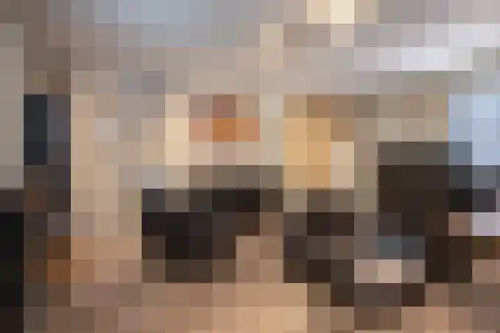 Postweg 211 De Cocksdorp thumbnail 27