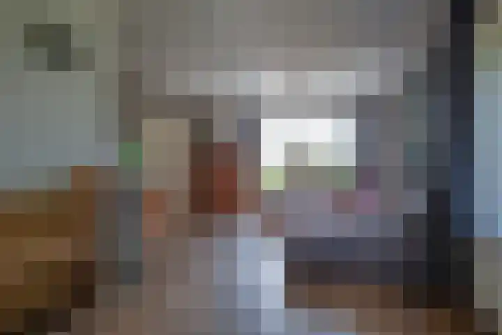 Postweg 211 De Cocksdorp thumbnail 4