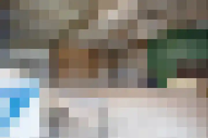 Postweg 211 De Cocksdorp thumbnail 43