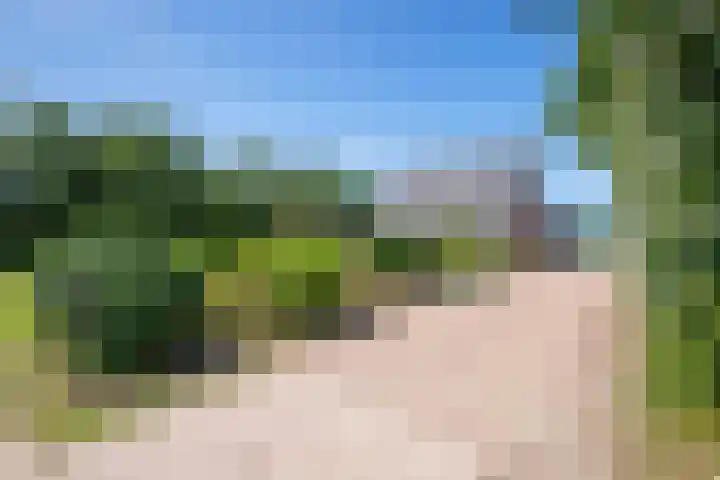 Postweg 211 De Cocksdorp thumbnail 45