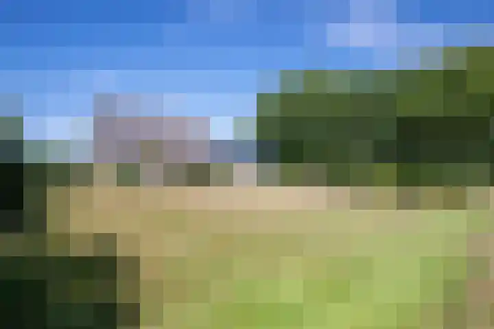 Postweg 211 De Cocksdorp thumbnail 46