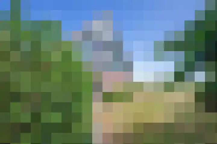 Postweg 211 De Cocksdorp thumbnail 47