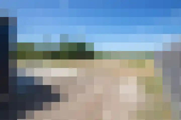 Postweg 211 De Cocksdorp thumbnail 49