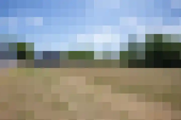 Postweg 211 De Cocksdorp thumbnail 50