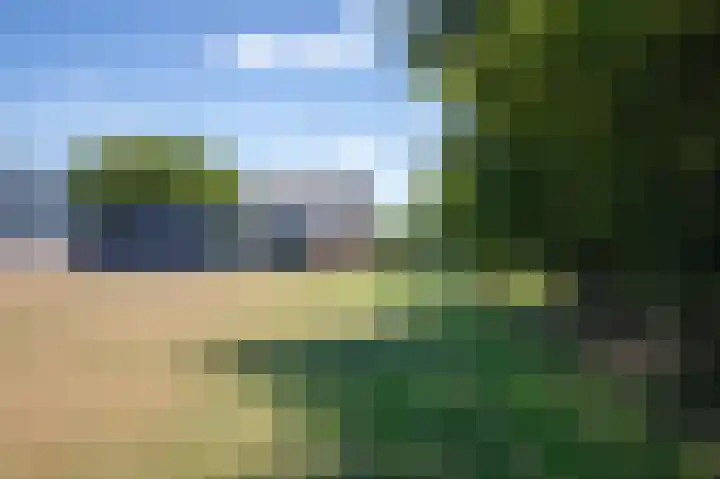 Postweg 211 De Cocksdorp thumbnail 51