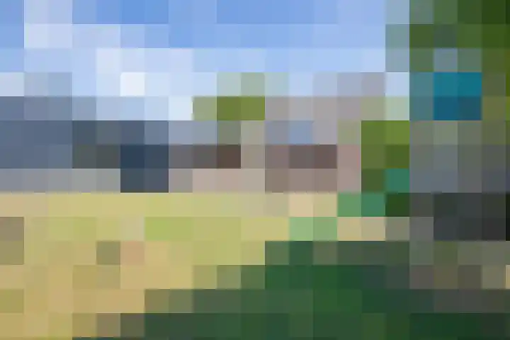 Postweg 211 De Cocksdorp thumbnail 53