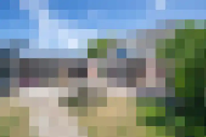 Postweg 211 De Cocksdorp thumbnail 54