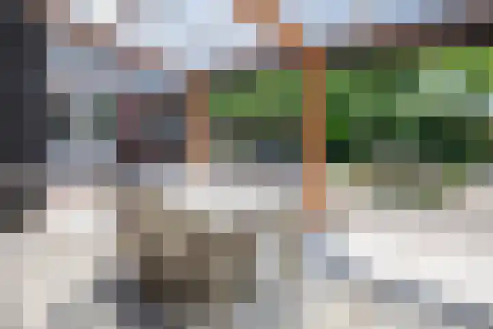 Postweg 211 De Cocksdorp thumbnail 55