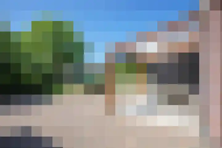 Postweg 211 De Cocksdorp thumbnail 56