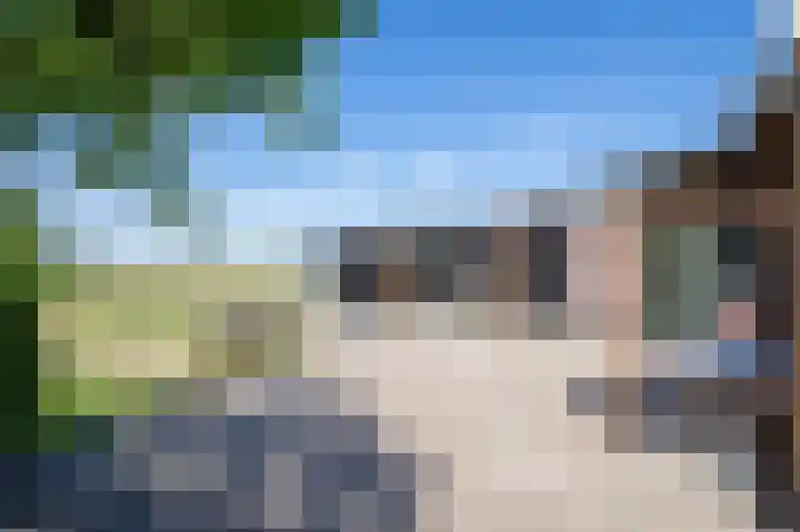 Postweg 211 De Cocksdorp thumbnail 57