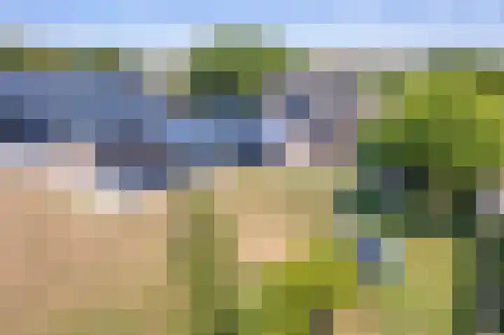 Postweg 211 De Cocksdorp thumbnail 58