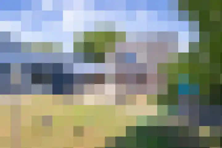 Postweg 211 De Cocksdorp thumbnail 59
