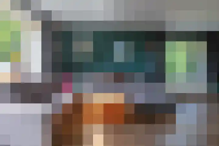 Postweg 211 De Cocksdorp thumbnail 6