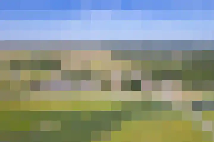 Postweg 211 De Cocksdorp thumbnail 61