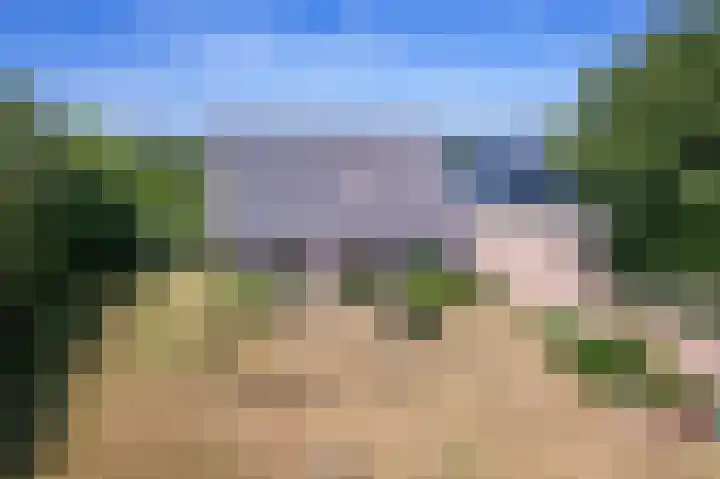 Postweg 211 De Cocksdorp thumbnail 63