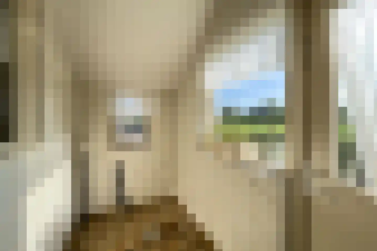 Postweg 22 De Glind thumbnail 12
