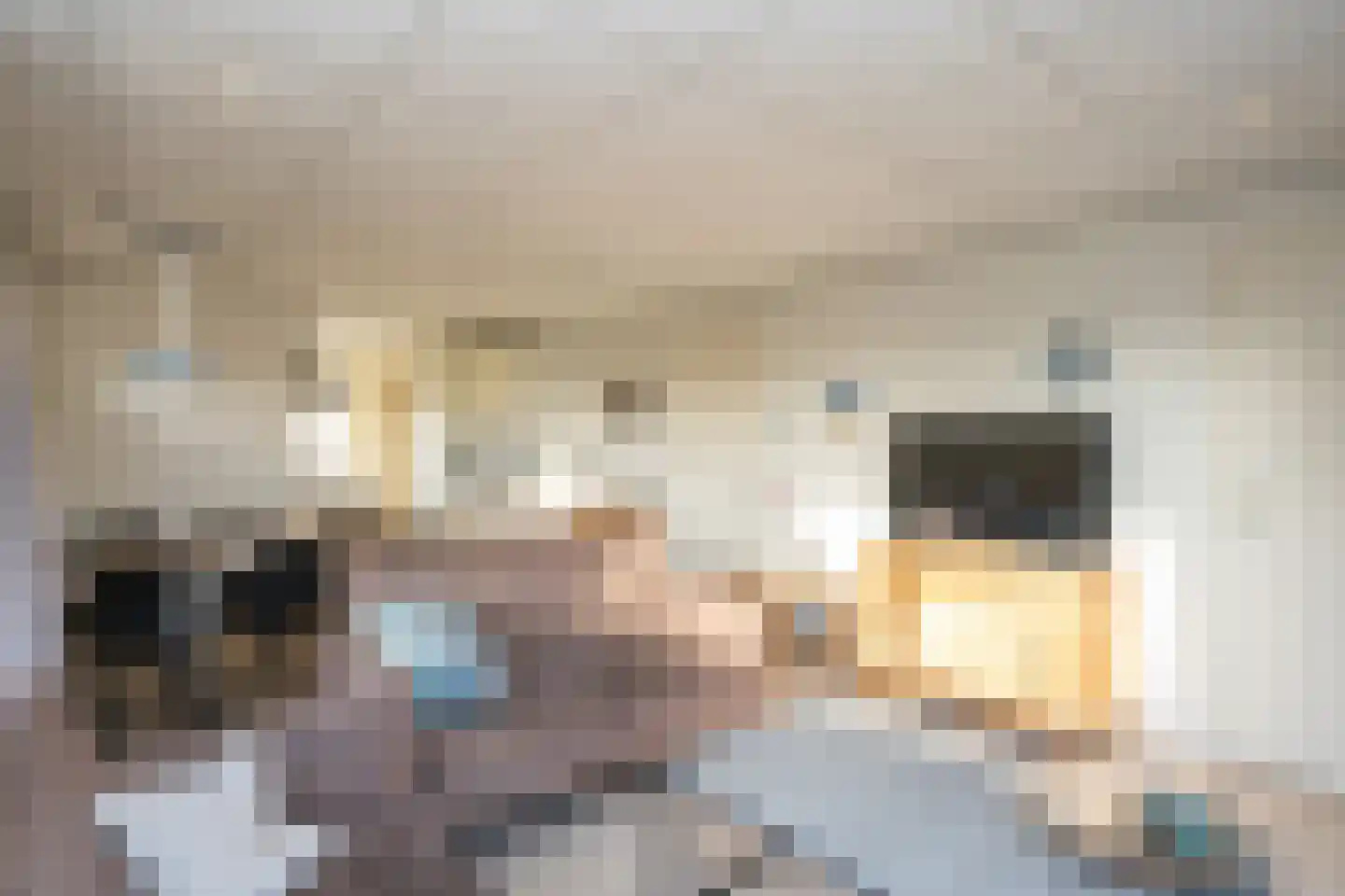 Postweg 222 De Cocksdorp thumbnail 18