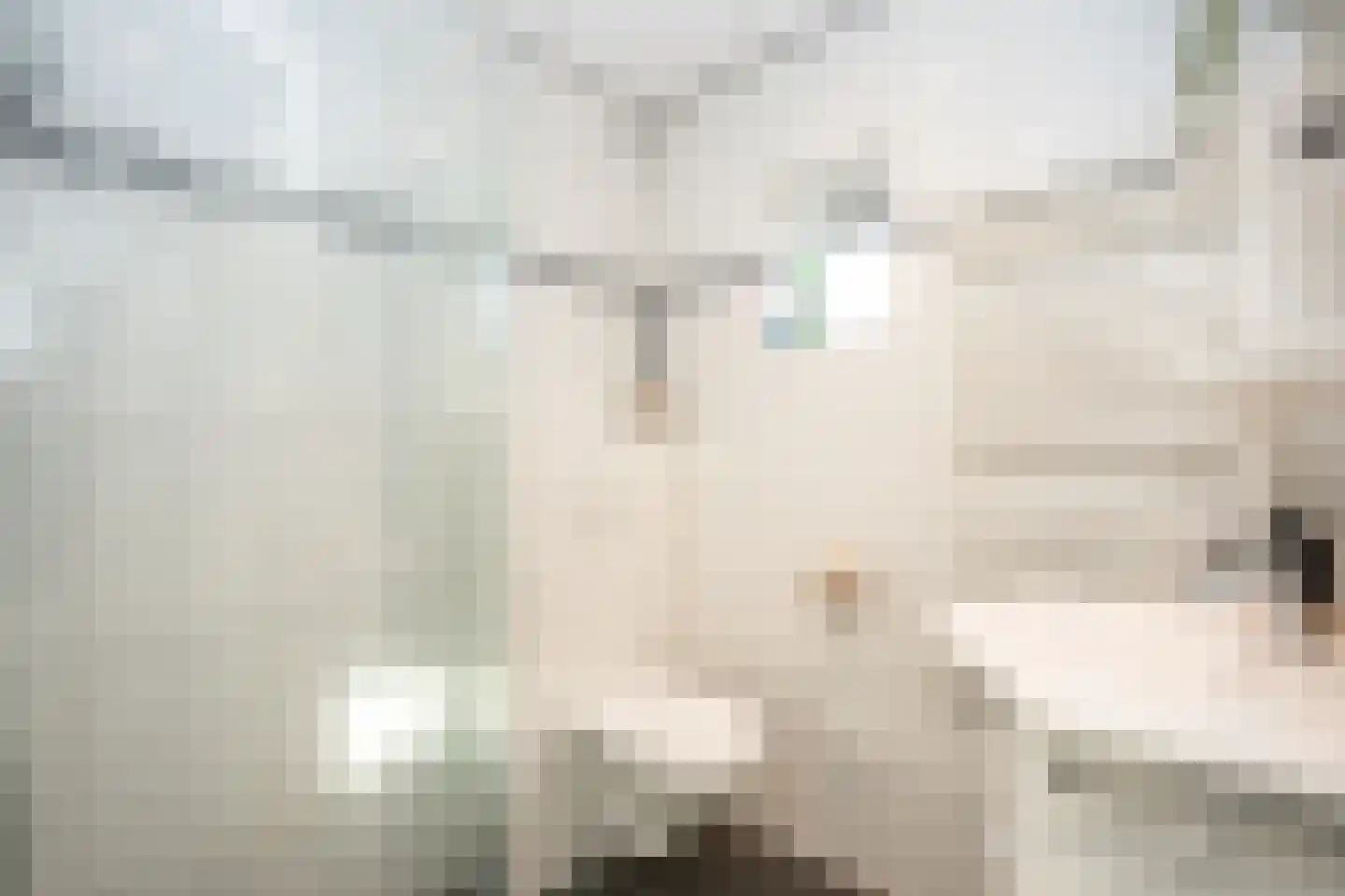 Postweg 222 De Cocksdorp thumbnail 33