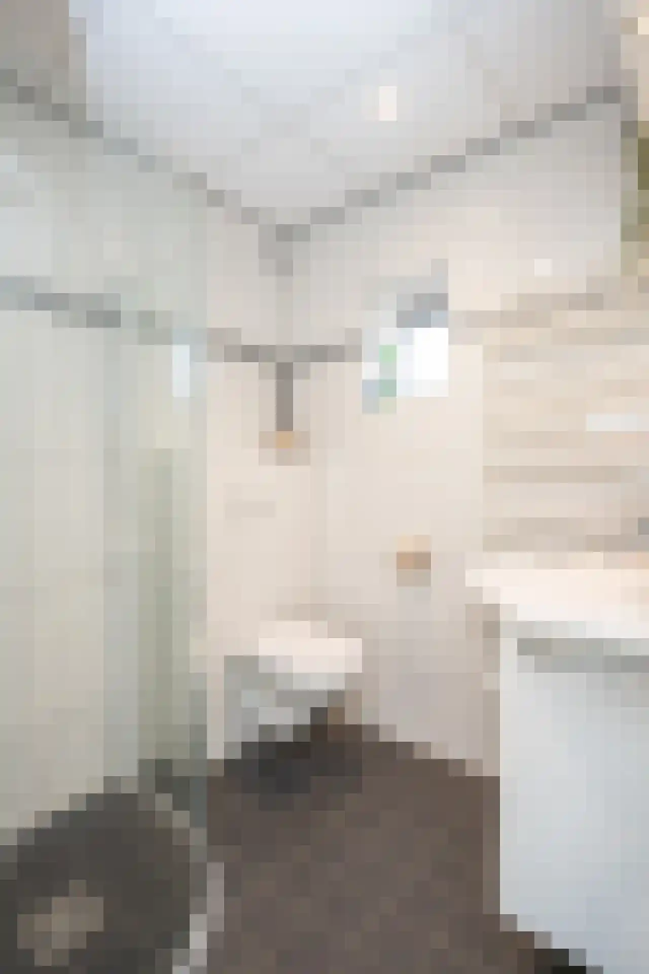 Postweg 222 De Cocksdorp thumbnail 34