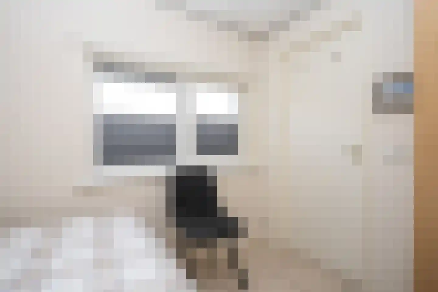 Postweg 222 De Cocksdorp thumbnail 38
