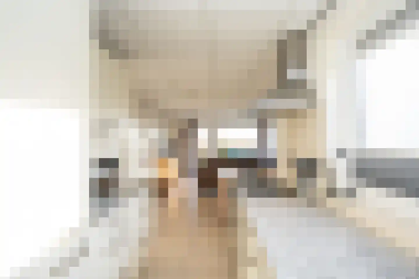 Postweg 222 De Cocksdorp thumbnail 4