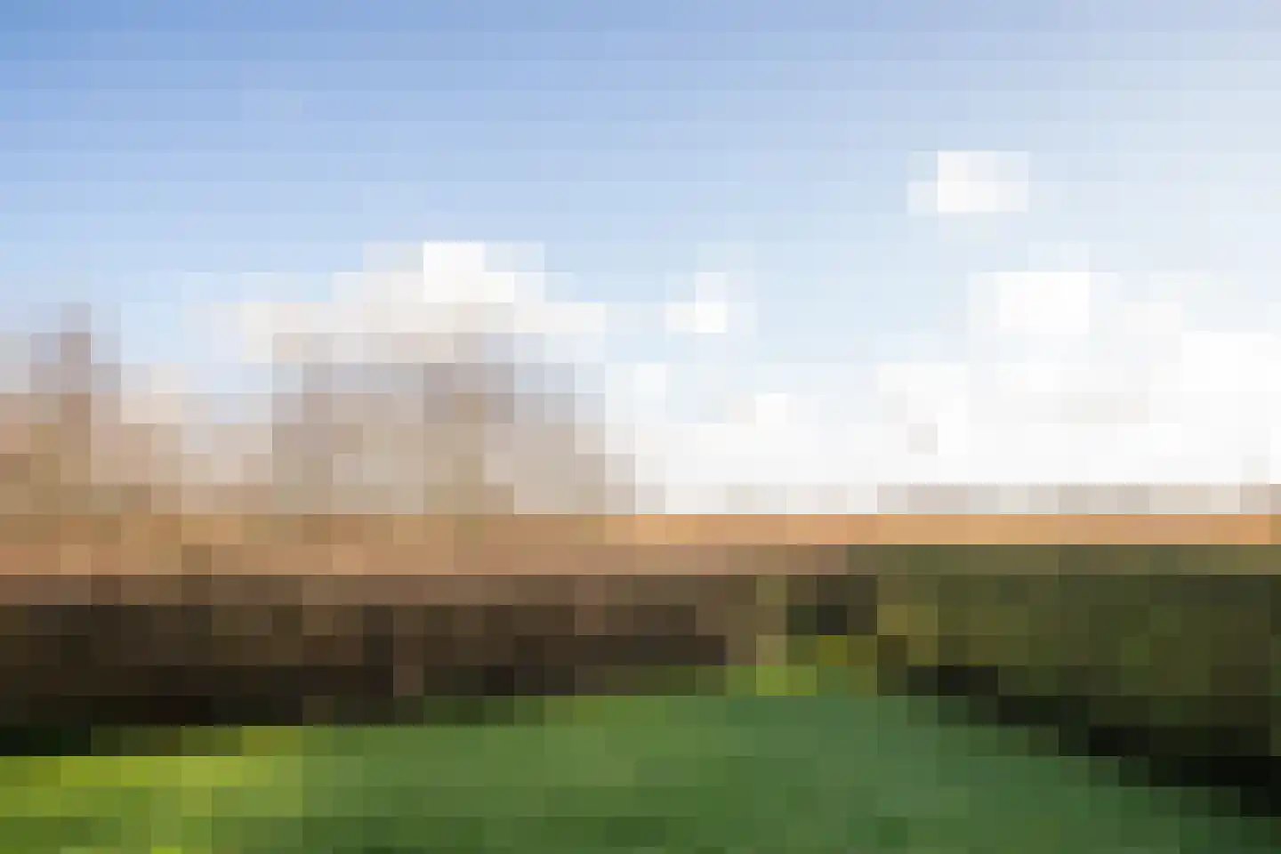 Postweg 222 De Cocksdorp thumbnail 48