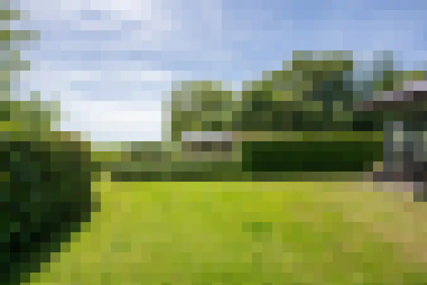 Postweg 222 De Cocksdorp thumbnail 48