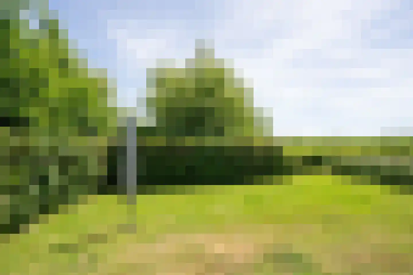 Postweg 222 De Cocksdorp thumbnail 49