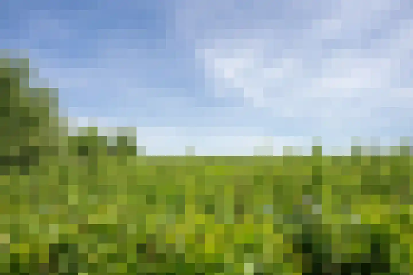 Postweg 222 De Cocksdorp thumbnail 50