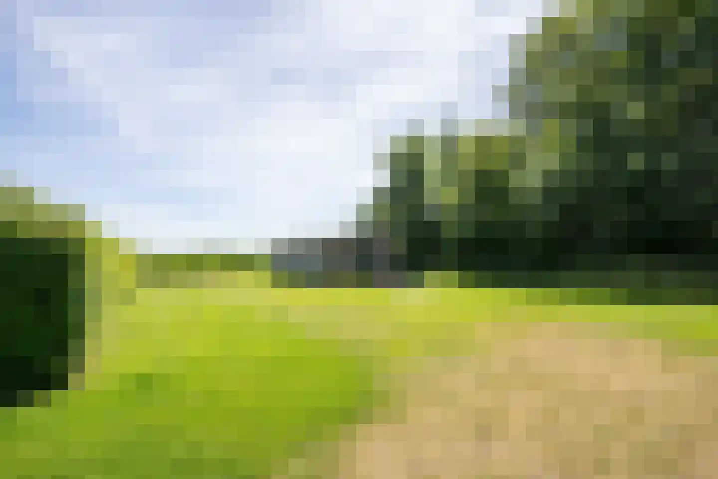 Postweg 222 De Cocksdorp thumbnail 51