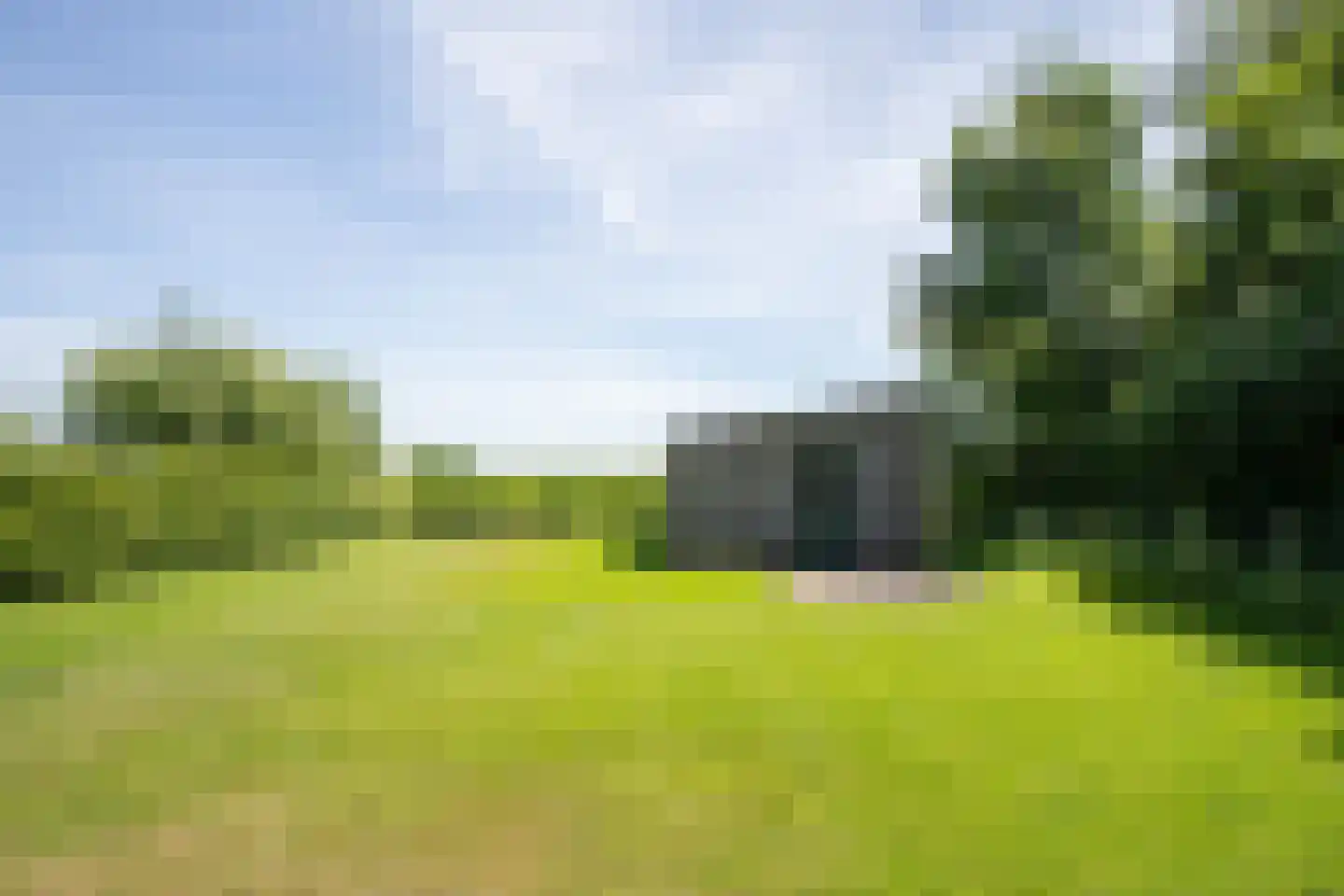 Postweg 222 De Cocksdorp thumbnail 52