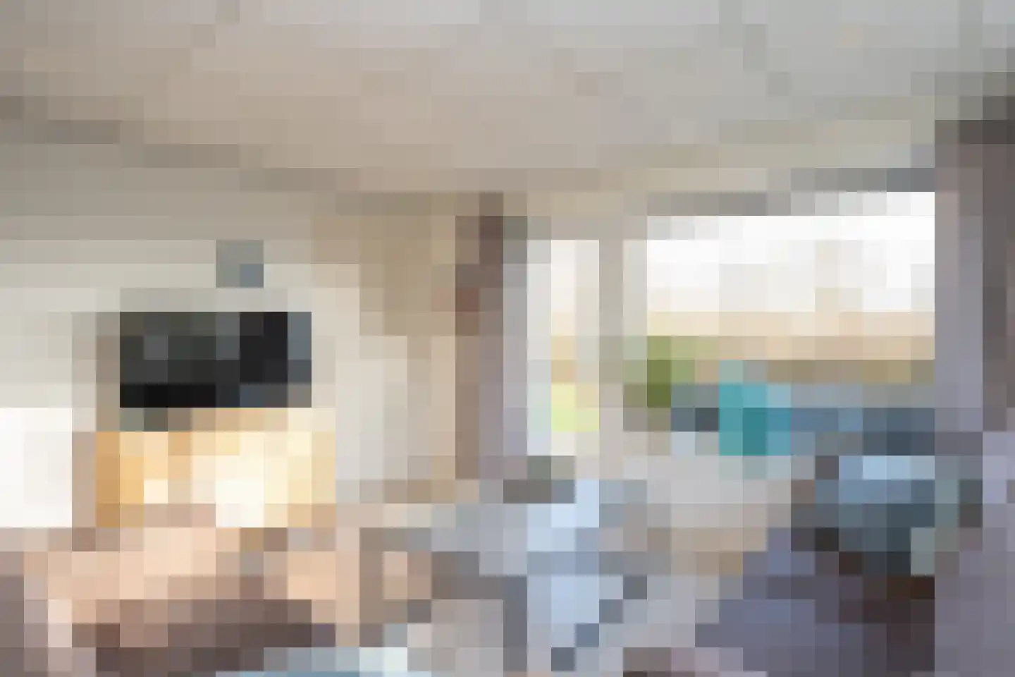 Postweg 222 De Cocksdorp thumbnail 6