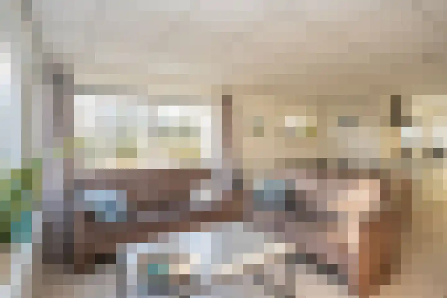 Postweg 222 De Cocksdorp thumbnail 7