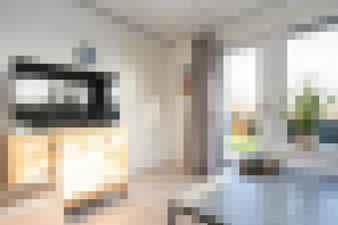 Postweg 222 De Cocksdorp thumbnail 9